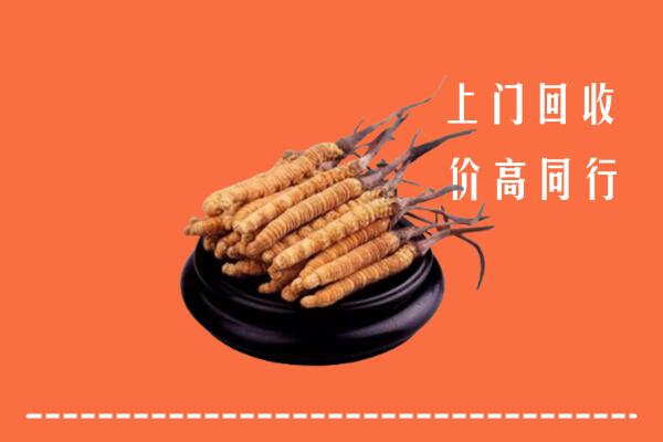 高价求购：青山区回收散虫草
