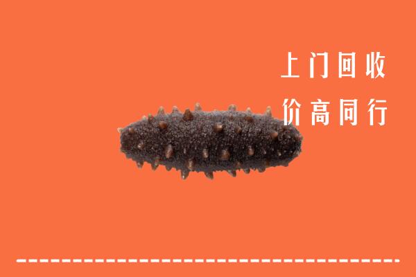 高价求购：青山区回收海参